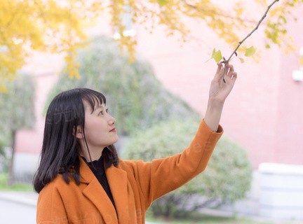 思维游戏2015
