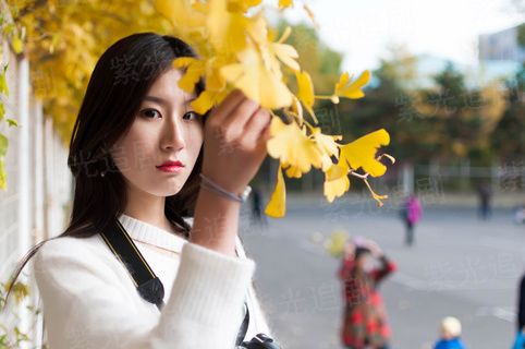 陆少的蜜恋鲜妻