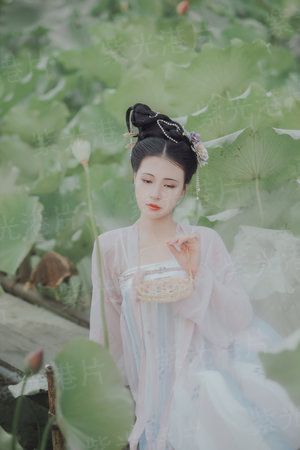 极品大红袍
