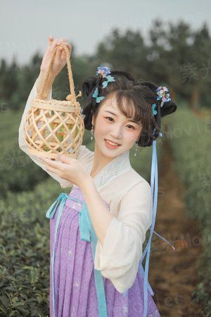 V家日常