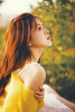 真相2011