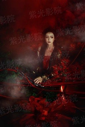 暂借浮华