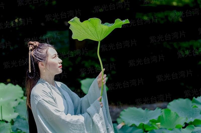 九灵逆天诀