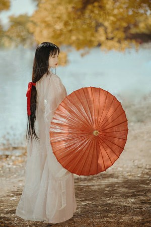 明星志愿[系统]
