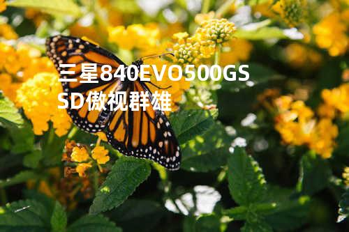 三星840EVO 500G SSD傲视群雄