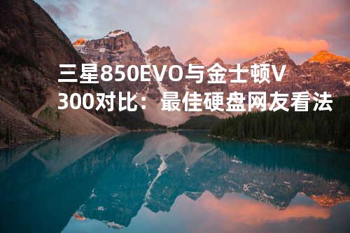 三星850EVO与金士顿V300对比：最佳硬盘网友看法