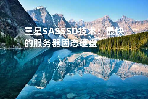 三星SAS SSD技术：最快的服务器固态硬盘