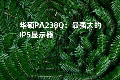 华硕PA238Q：最强大的IPS显示器