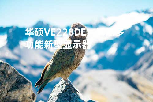 华硕VE228DE：智能多功能新型显示器