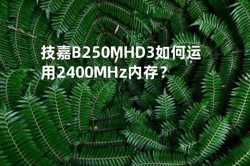 技嘉B250M-HD3如何运用2400MHz内存？