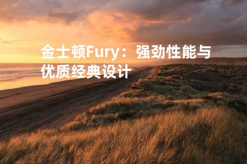 金士顿 Fury：强劲性能与优质经典设计