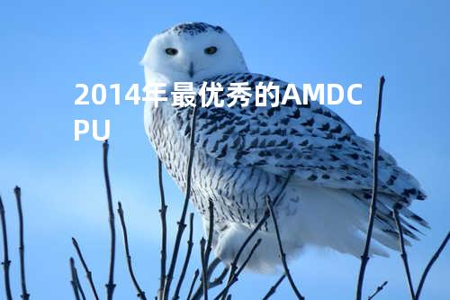 2014年最优秀的AMD CPU
