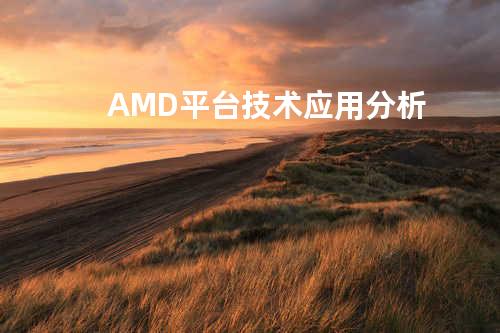 AMD平台技术应用分析