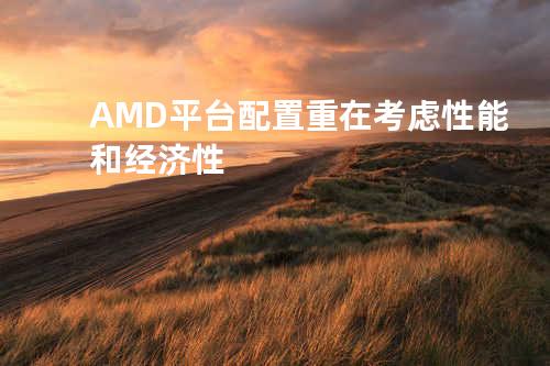 AMD平台配置重在考虑性能和经济性