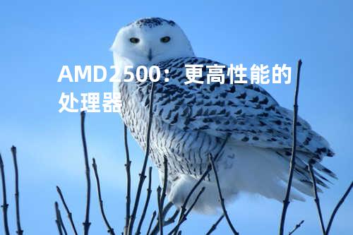 AMD2500：更高性能的处理器