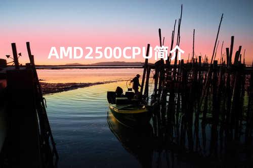 AMD 2500 CPU简介