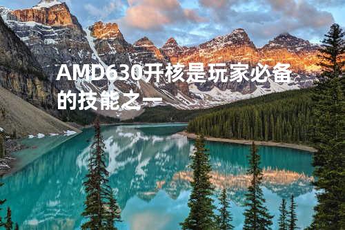 AMD630开核是玩家必备的技能之一