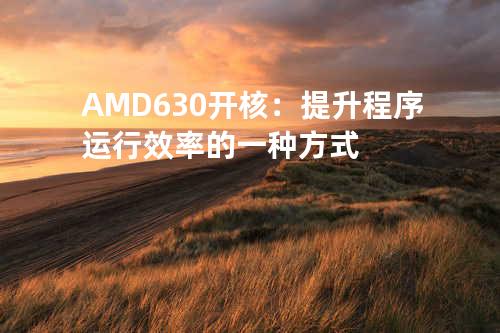 AMD630开核：提升程序运行效率的一种方式