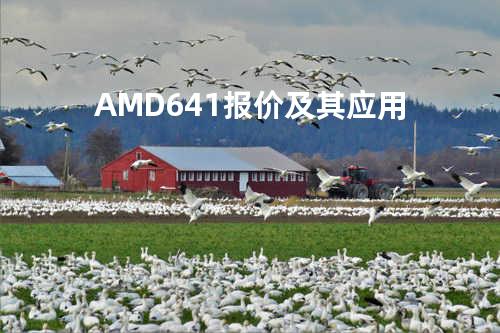 AMD 641报价及其应用