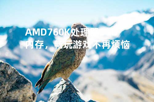AMD 760K处理器+8GB内存， 畅玩游戏不再烦恼