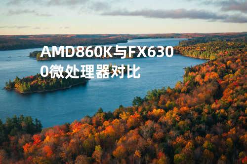 AMD 860K与FX6300微处理器对比