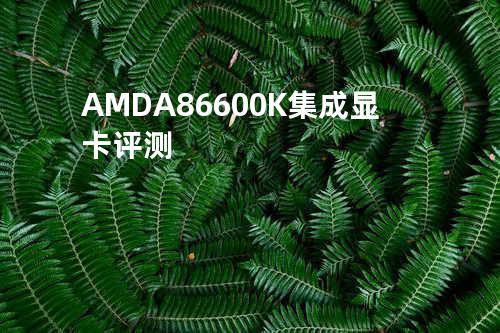 AMD A86600K集成显卡评测