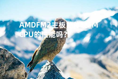 AMD FM2主板能体现FM CPU的性能吗？