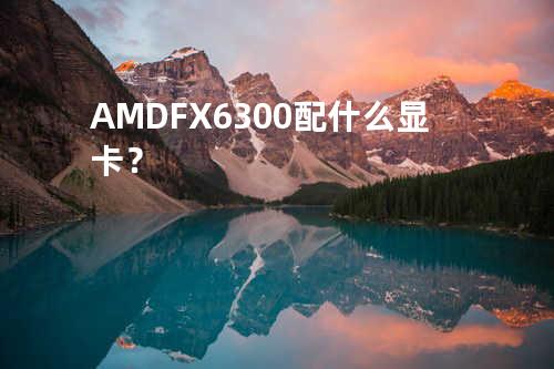 AMD FX6300配什么显卡？