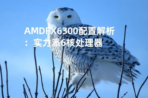 AMD FX-6300配置解析：实力派6核处理器