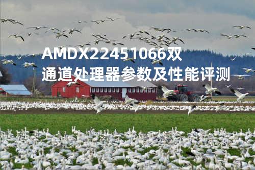 AMD X2 245 1066双通道处理器参数及性能评测