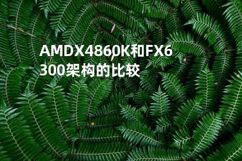 AMDX 4860K和FX6300架构的比较