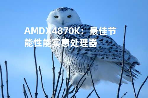 AMD X4 870K：最佳节能性能实惠处理器