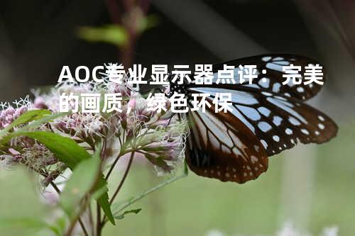 AOC专业显示器点评：完美的画质，绿色环保