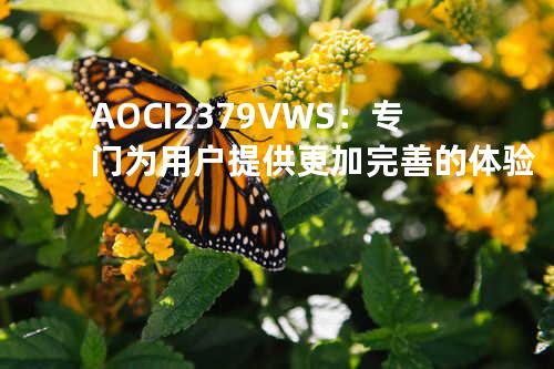 AOCI2379V WS：专门为用户提供更加完善的体验