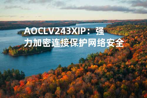 AOCLV243XIP：强力加密连接保护网络安全