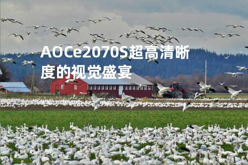 AOC e2070S: 超高清晰度的视觉盛宴