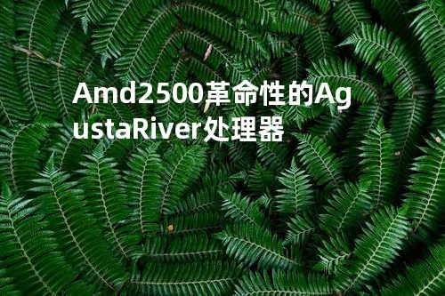 Amd2500: 革命性的Agusta River处理器