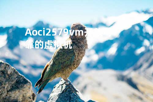  Aoci2579vm-开放可靠的虚拟机 