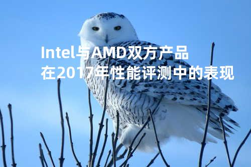 Intel与AMD双方产品在2017年性能评测中的表现