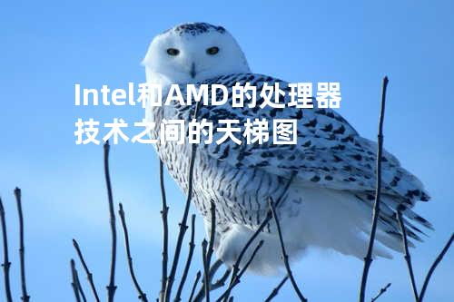 Intel和AMD的处理器技术之间的天梯图