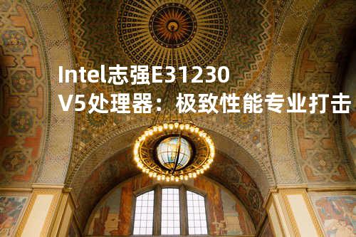Intel 志强 E3 1230 V5处理器：极致性能专业打击