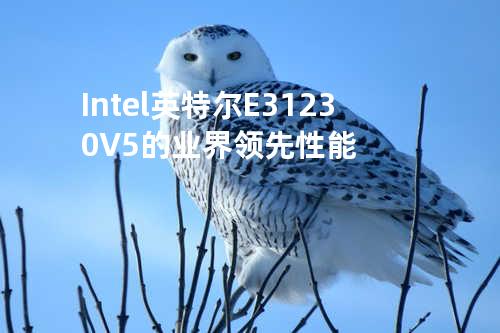 Intel英特尔 E3-1230V5的业界领先性能