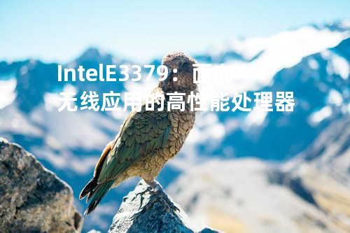 Intel E3379：面向无线应用的高性能处理器