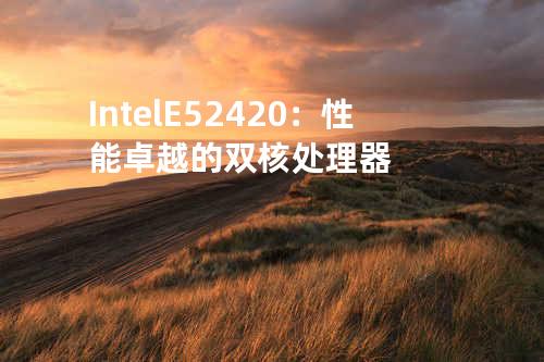 Intel E5 2420：性能卓越的双核处理器