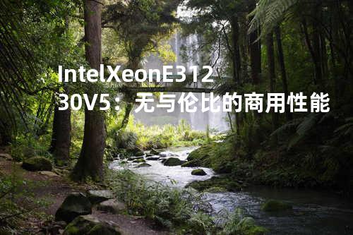  Intel Xeon E3 1230V5：无与伦比的商用性能