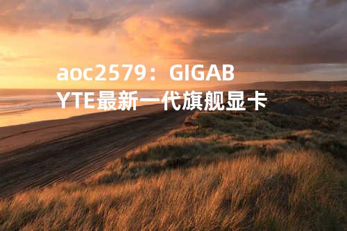 aoc2579：GIGABYTE最新一代旗舰显卡