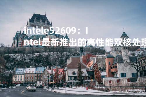intel e5 2609：Intel最新推出的高性能双核处理器